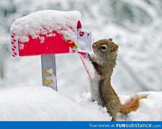 checking your mail while it snow