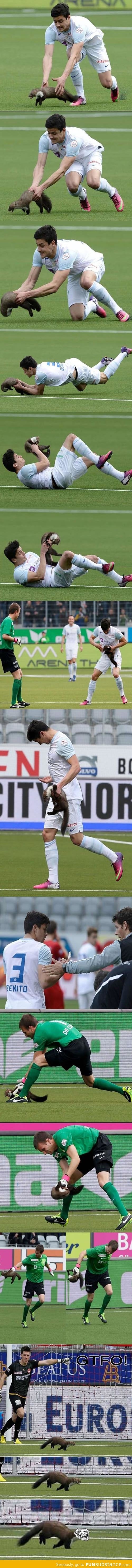 Swiss soccer team got trolled by a weasel