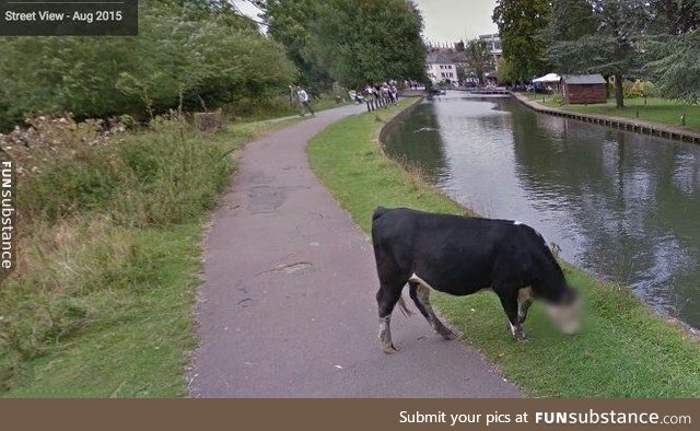 I'm glad Google is taken cow privacy seriously