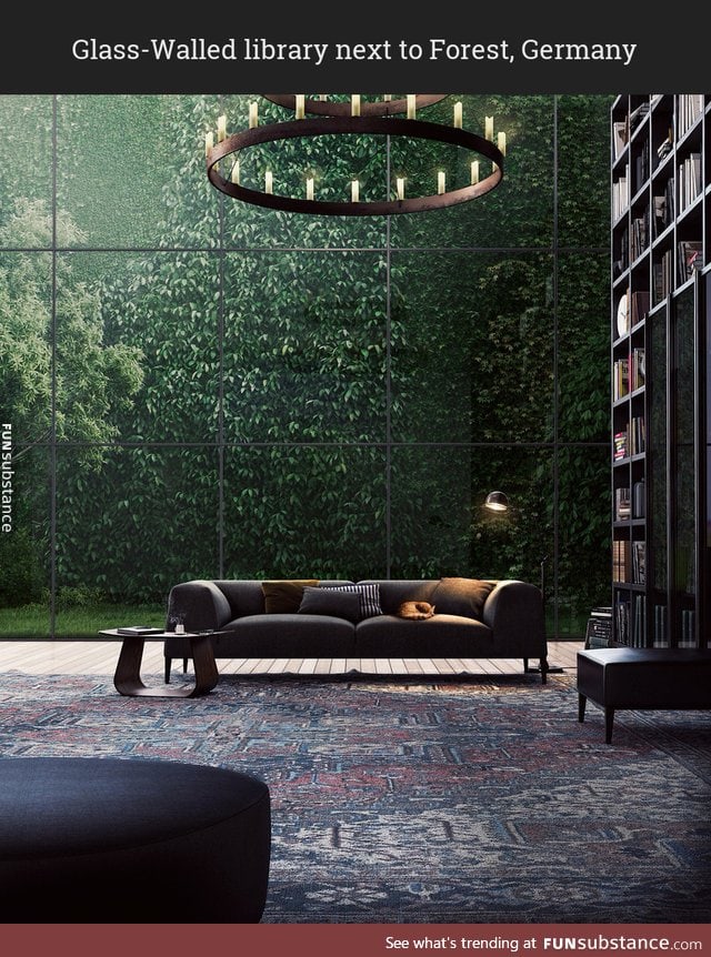 Library and nature separated by a glass wall