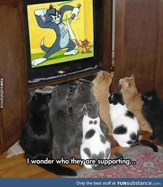 Tom and jerry fans