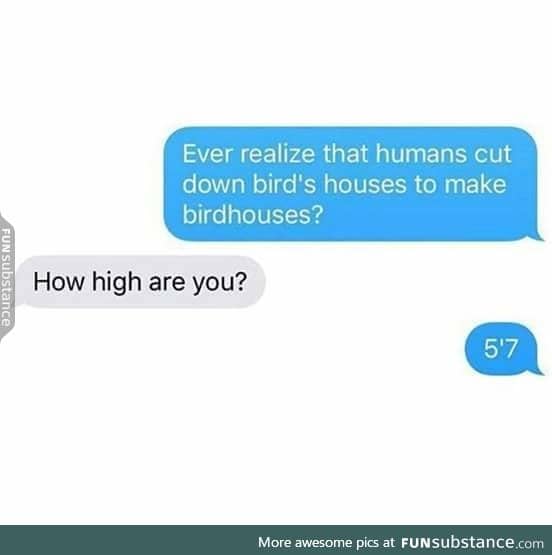 You're wisest when your high.