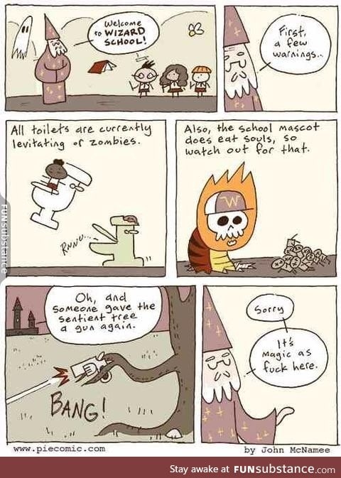 Wizard School