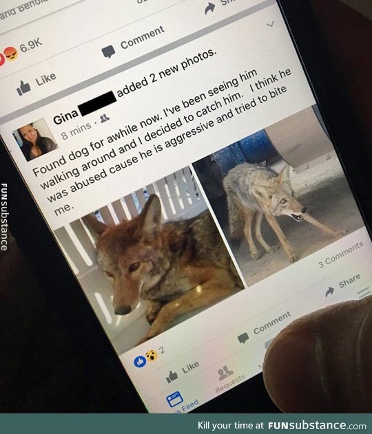 This person's aunt caught a coyote