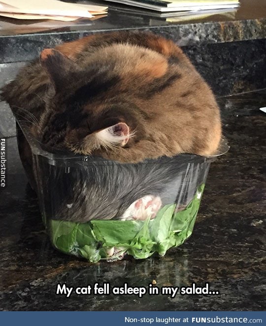 Such a cozy salad