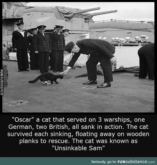 Unsinkable sam