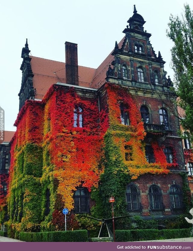 National Museum in Wrocław, Poland