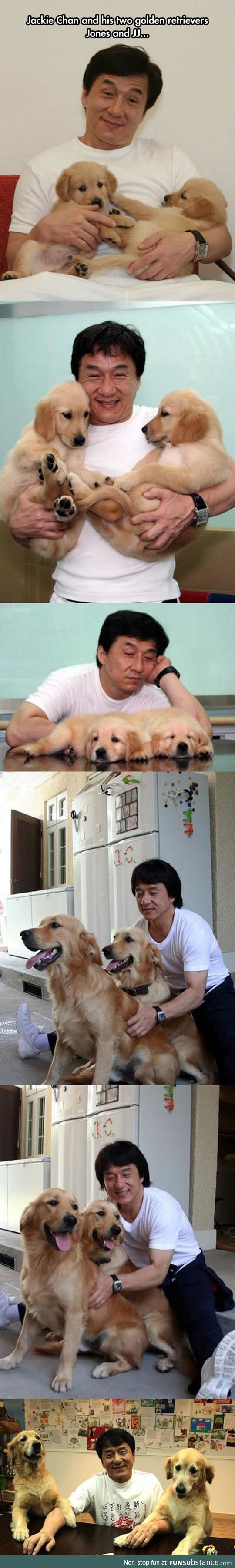 Jacky chan loves dogs