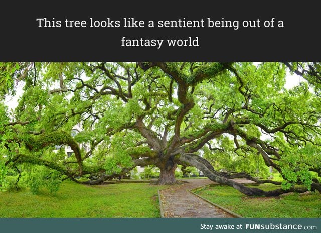 Mystical tree