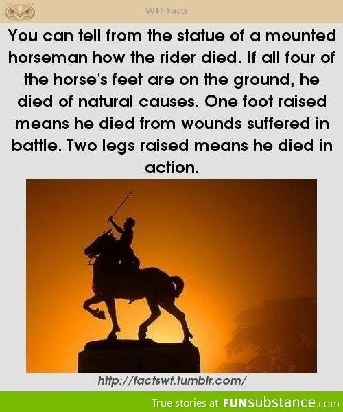 Statue facts