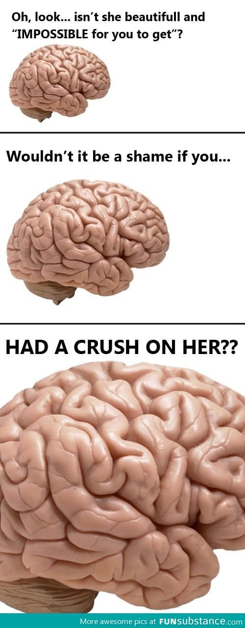 Scumbag brain