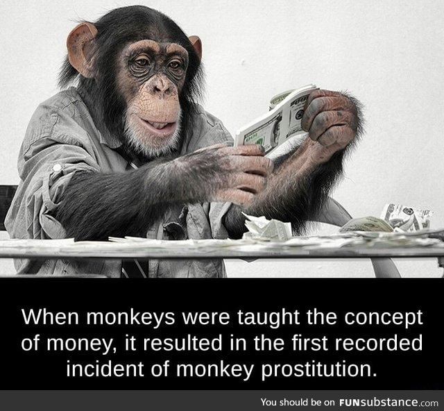 Monkey business