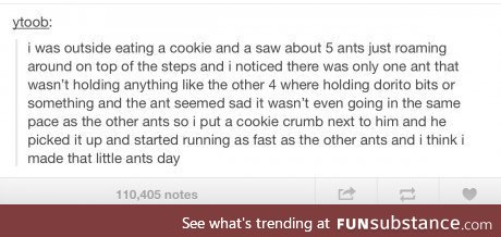 Ants