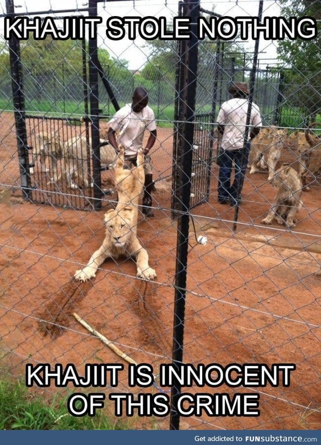 Khajiit will remember that he has been wronged