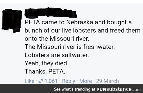 Thanks peta!!!!