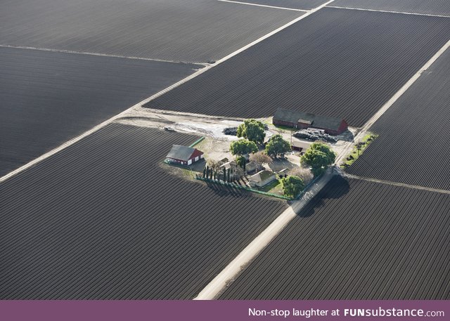 A farm