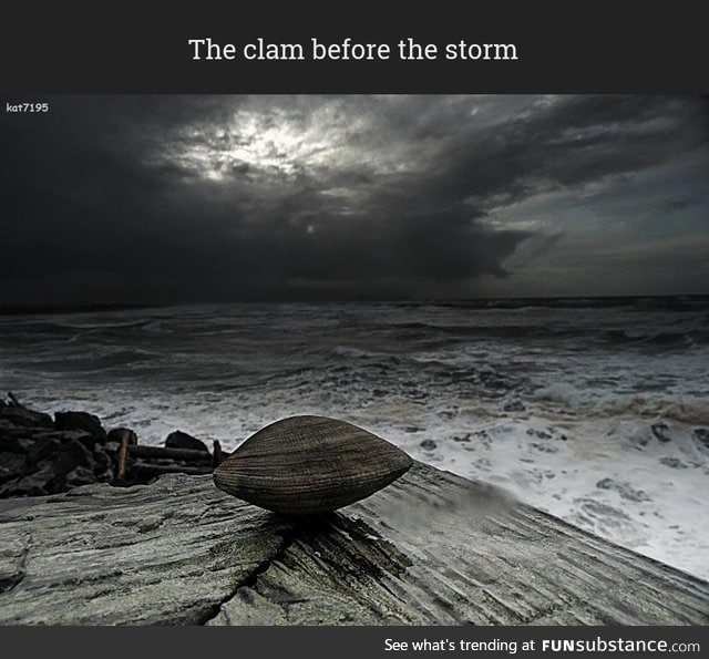 The clam before the storm