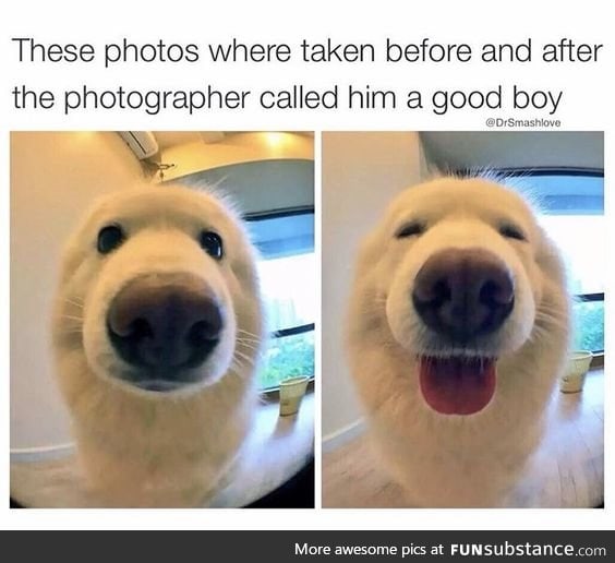 what a goodly boi