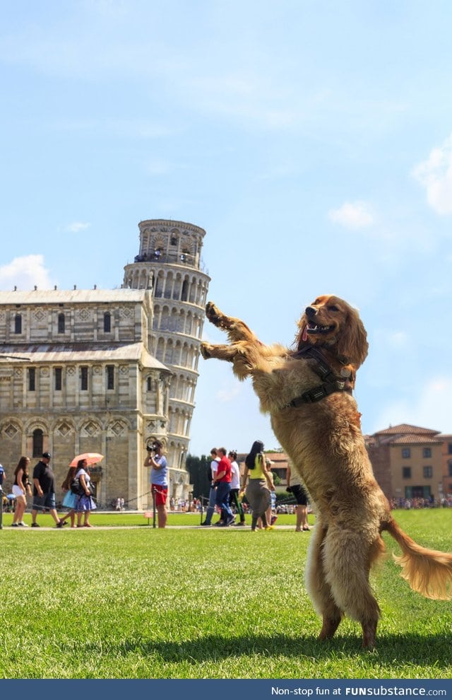 So I just hold here? Pisa cake!!