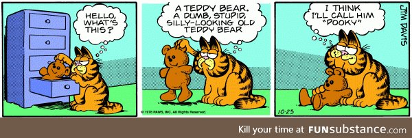 Garfield meets Pooky