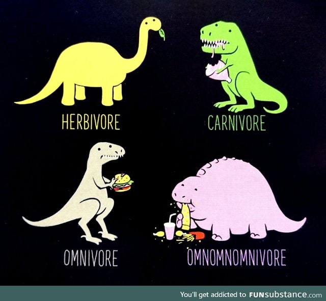 Different kinds of dinosaur