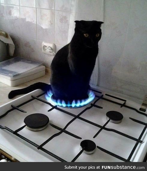 Upvote feline of pyromancy