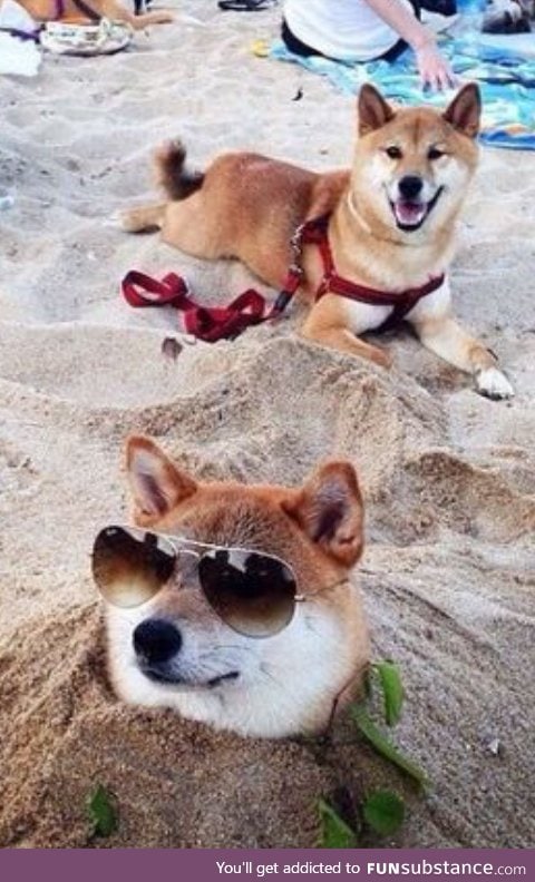Life's a beach