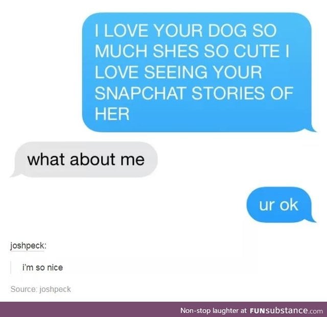 Way to a girl's heart: through pets and memes