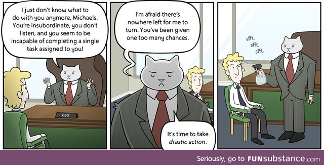 The Adventures of Business Cat