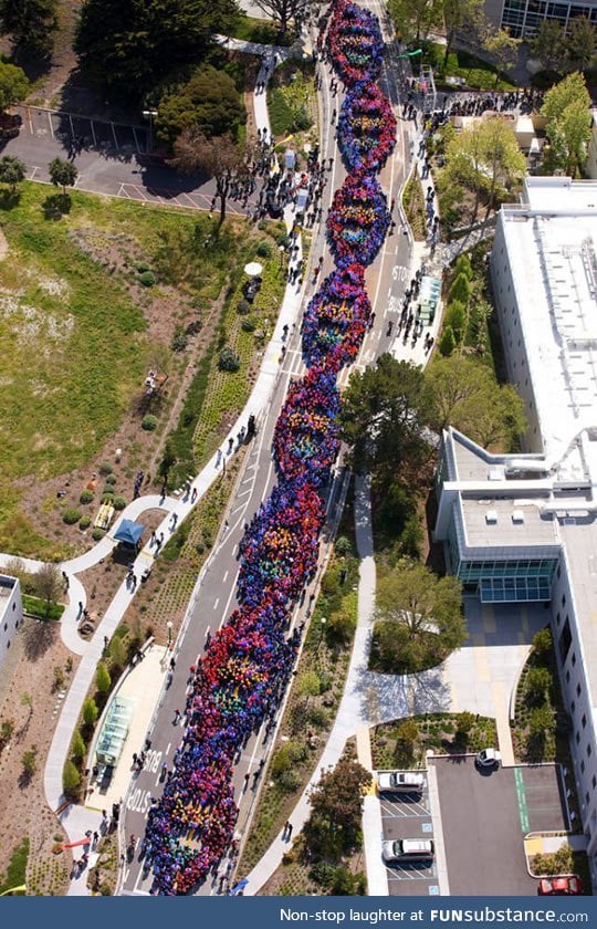 2600 people form a chain to celebrate the anniversary of dna