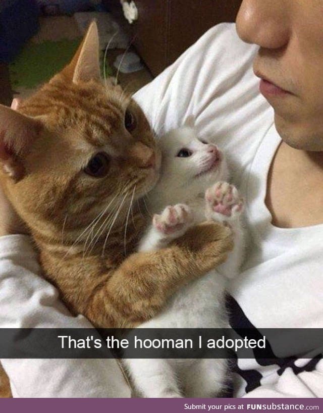 look at my hooman