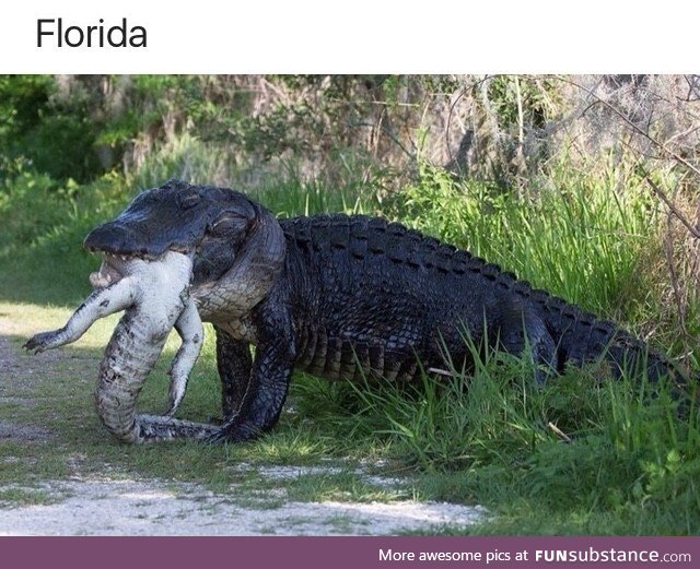 Florida