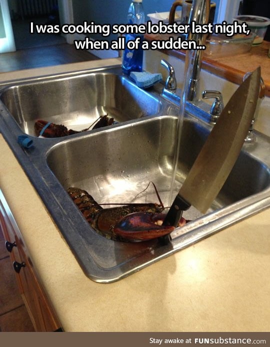 Cooking some lobster when suddenly