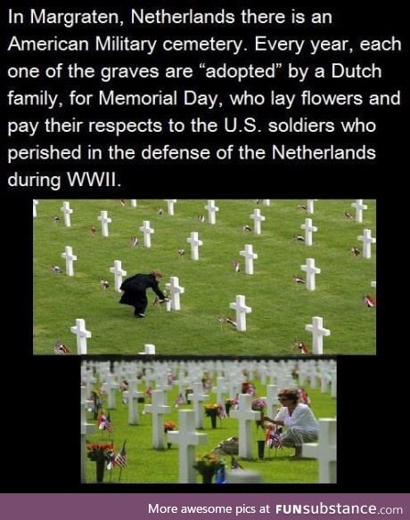 Good guy Netherlands