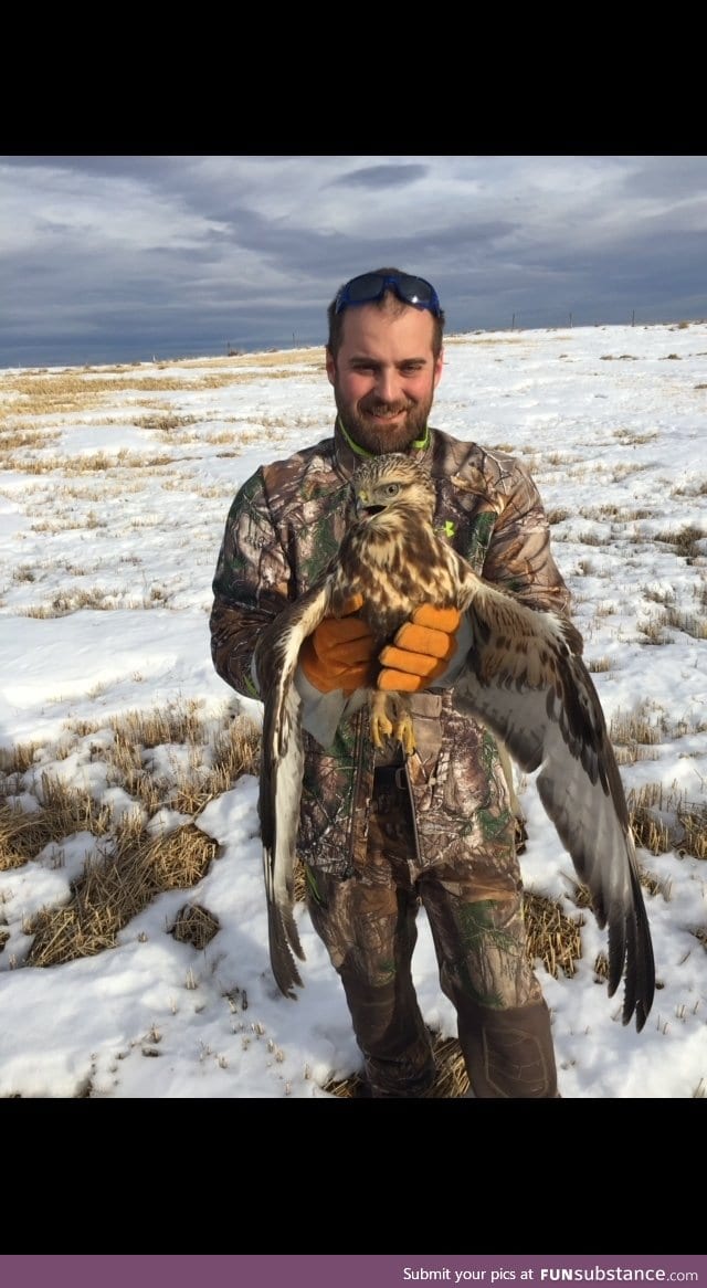 Found a grounded hawk, after a few minutes she flew off