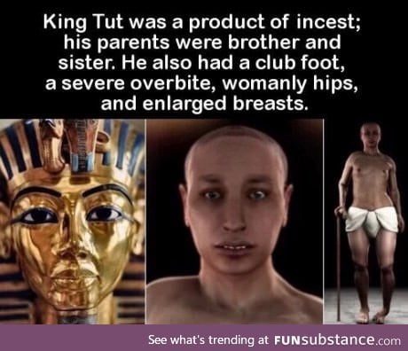 King tut