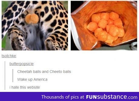 Cheetah ball