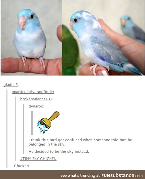 cloud birb