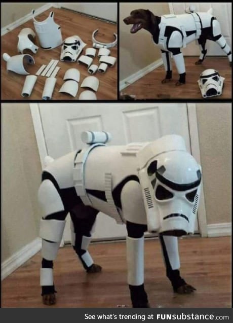 Star Wars K-9 unit