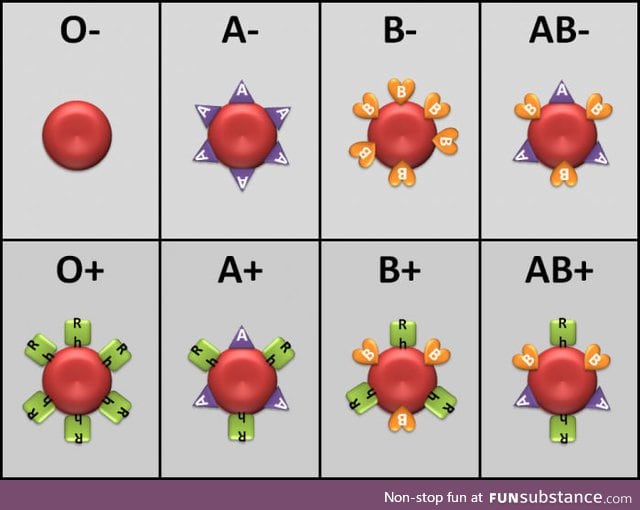 The 8 types of people: