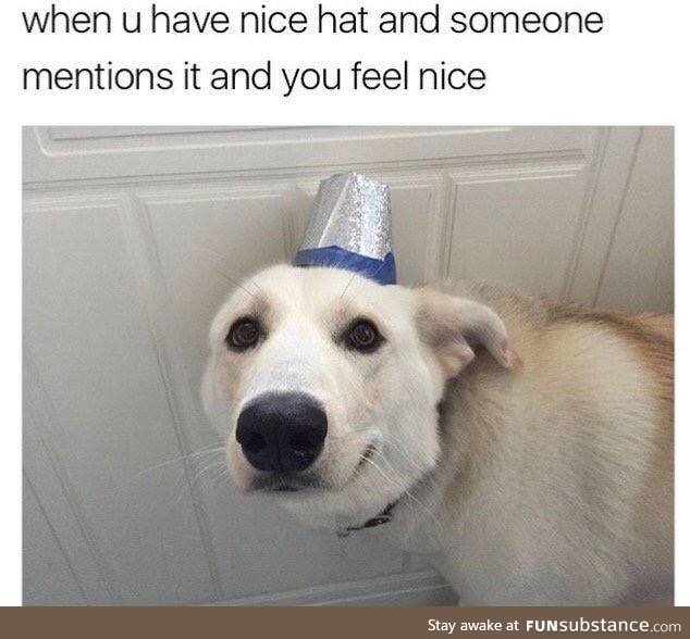 Hat pupper, vv nice, 10/10 would pet