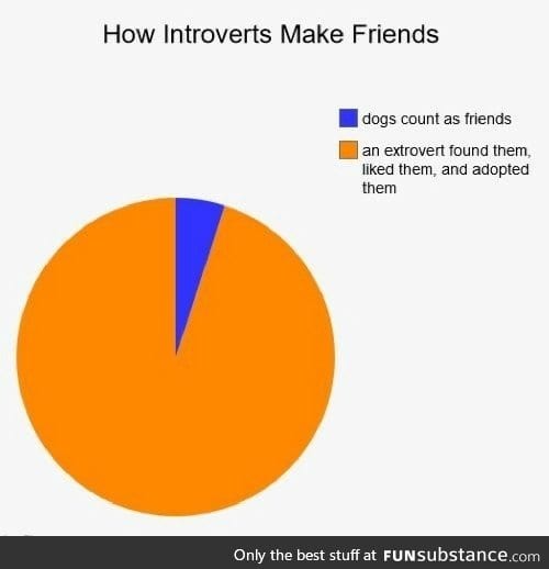 How introverts make friends