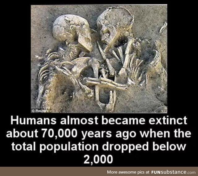 Humans almost became extinct