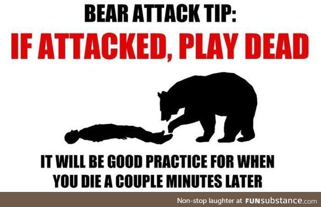 How to survive a bear attack