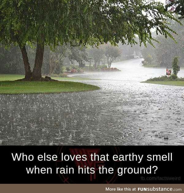 It's called Petrichor.. :)