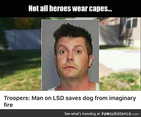 The hero we needed