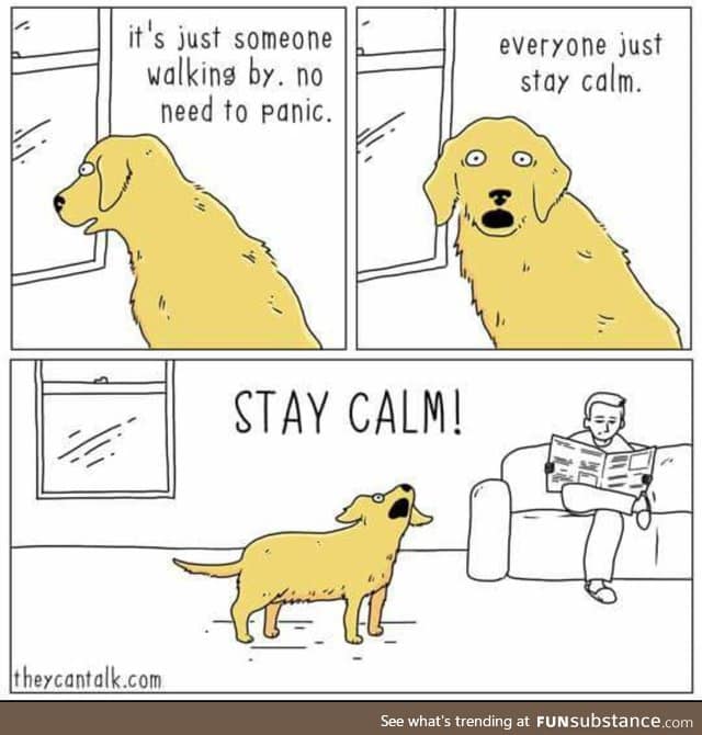 wholesome meme number I dunno - "stay calm"