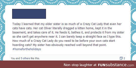 A whole new level of crazy cat lady