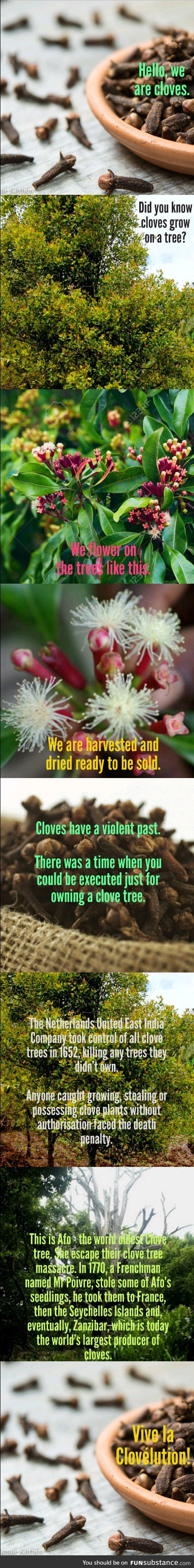 Cloves