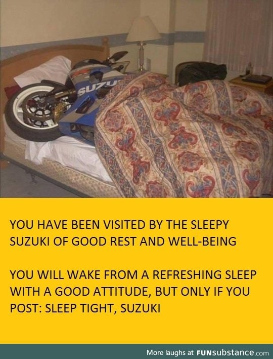 Sleep tight,suzuki